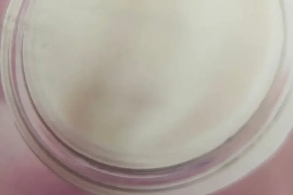 Imagem ilustrativa para o conteúdo de Receitas para Requeijão De Tofu